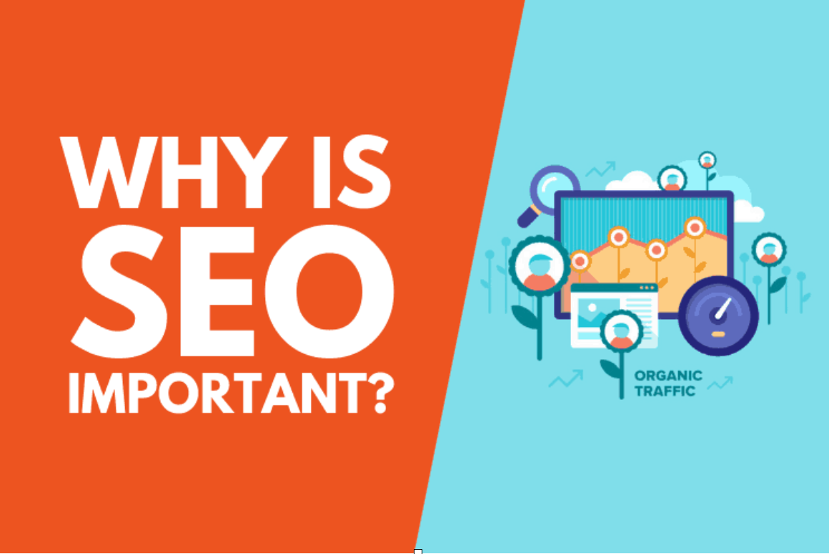 Top 1 SEO Expert Company in India